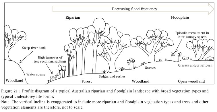 Megan Good tweet media