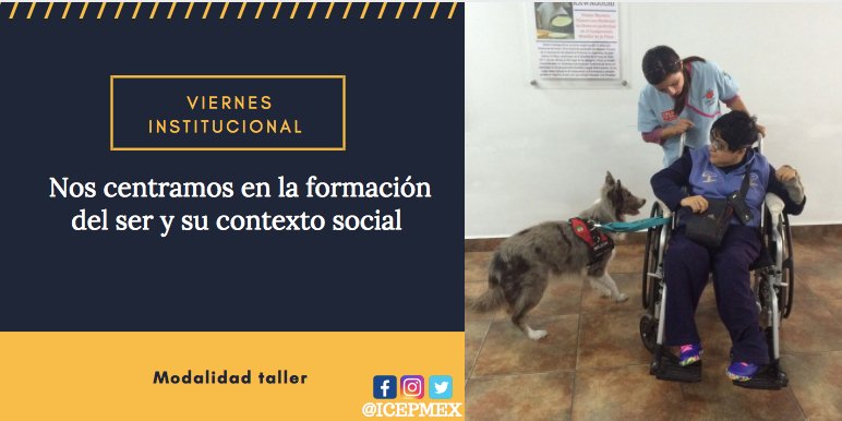 MexIcep's tweet image. Los viernes institucionales son para centrarse en la formación del ser y su contexto social, donde expertos imparten talleres con la finalidad de reforzar las competencias sociales, personales y físicas de los estudiantes.
