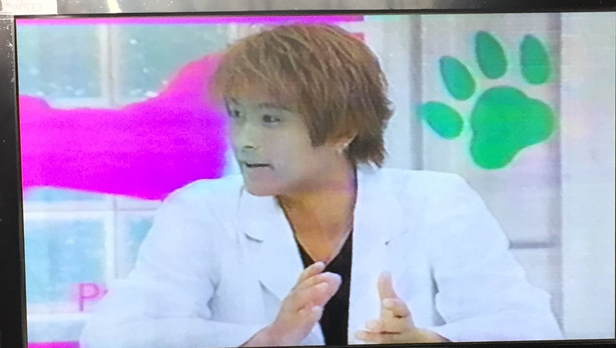 うみ ハッ 犬の気持ちになってみました 嵐 山口達也 うみ ハッ 犬の気持ちになってみました 嵐 山口達也