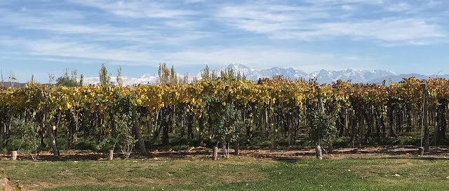 Angel Ramos tweet media