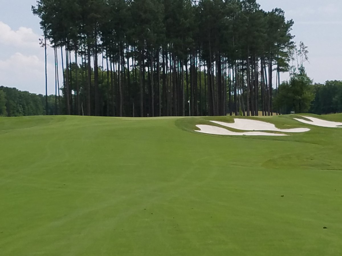 Like always, Matt and his team <a href="/FedClubTurf/">Federal Club GCM</a> have the course dialed in and ready for the VSGA State Am.  It is absolutely perfect!!