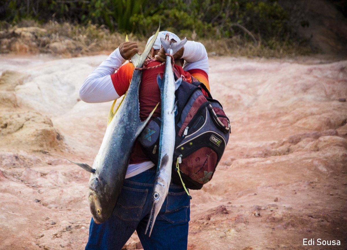 Edi_Disousa's tweet photo. Pescador! No litoral sul do Pernambuco registrei essa bela imagem do homem levando nas costa a sua pesca! #pesca #pescaria #peixe #mar #automar #praias @pescalternativa @pescaecompanhia @EmbrapaPesca @pescaeturismo #litoral #reporteredi https://t.co/heUUpdt71G