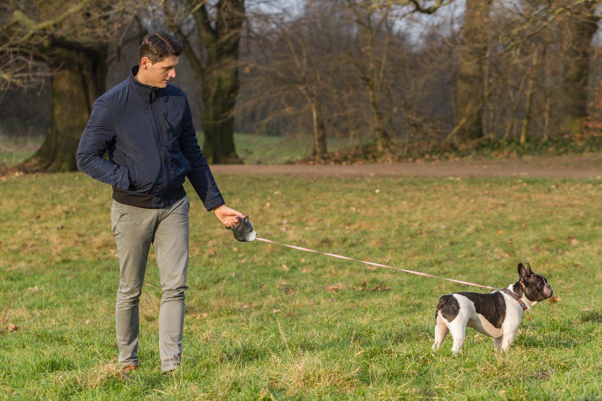 Breedlead's tweet photo. Would like to buy something that looks like your dog? Search no more! Get a Breed Lead on a #discount on #Kickstarter https://t.co/8p5ENn79NA
#frenchbulldog #frenchie #pugs #beagles #LabradorRetriever #doglovers #dogsofinstagram #dogsoftwitter https://t.co/UxLSbsaCbb