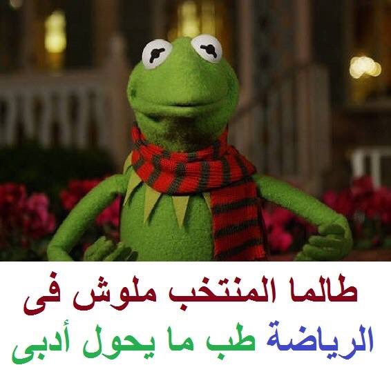 tarek_mrs's tweet image. 