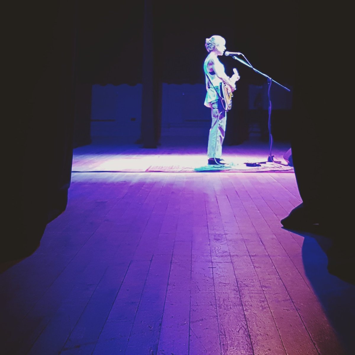 K_B_FILM's tweet photo. Sno Cat #KristinHersh https://t.co/RdolBxyK6J