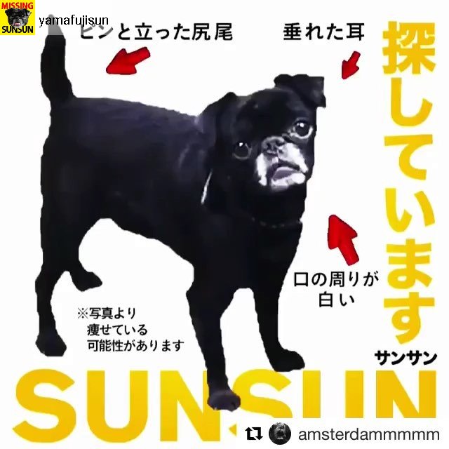 迷子サンサン