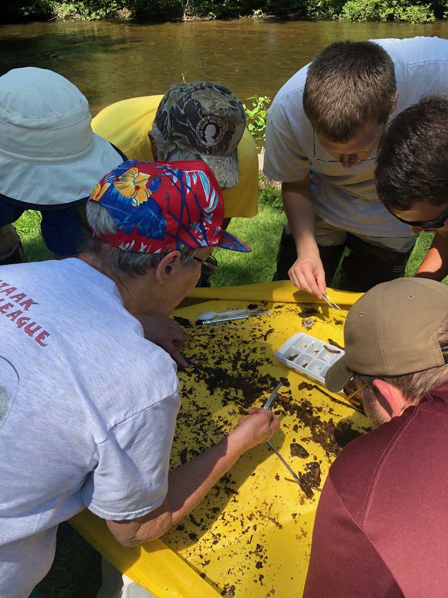 Want to brush up on your macro ID skills? email sos@iwla.org to schedule a #CreekFreaks Training! #MacroMonday #SaveOurStreams #GetYourFeetWet