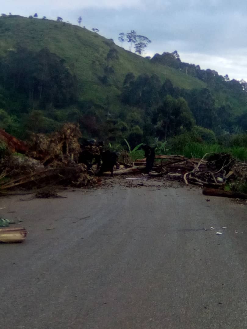 Que_Les_Faits's tweet photo. 5 terroristes armés ont été tués alors qu'ils bloquaient une route afin d'y organiser des embuscades meurtrières. Les habitants de #Bafout ont demandé l'aide de l'armée qui a recommandé aux civils de ne rien faire en attendant les secours. 0 blessé/mort côté armée #cameroun https://t.co/AO8wHpjwAD