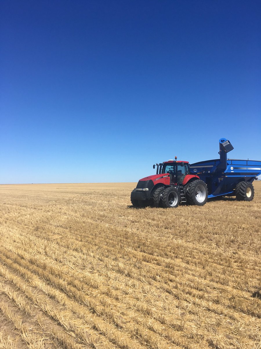 ColeMcMahon5's tweet photo. Beautiful day in southwest Kansas! #customharvest18 #caseih #macdon https://t.co/9LTO7LeQ93