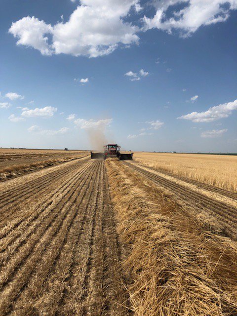 Pacific_Ag's tweet photo. The #wheatstraw harvest is underway in Texas...and it's HOT out there! https://t.co/yPH3DB4lGb