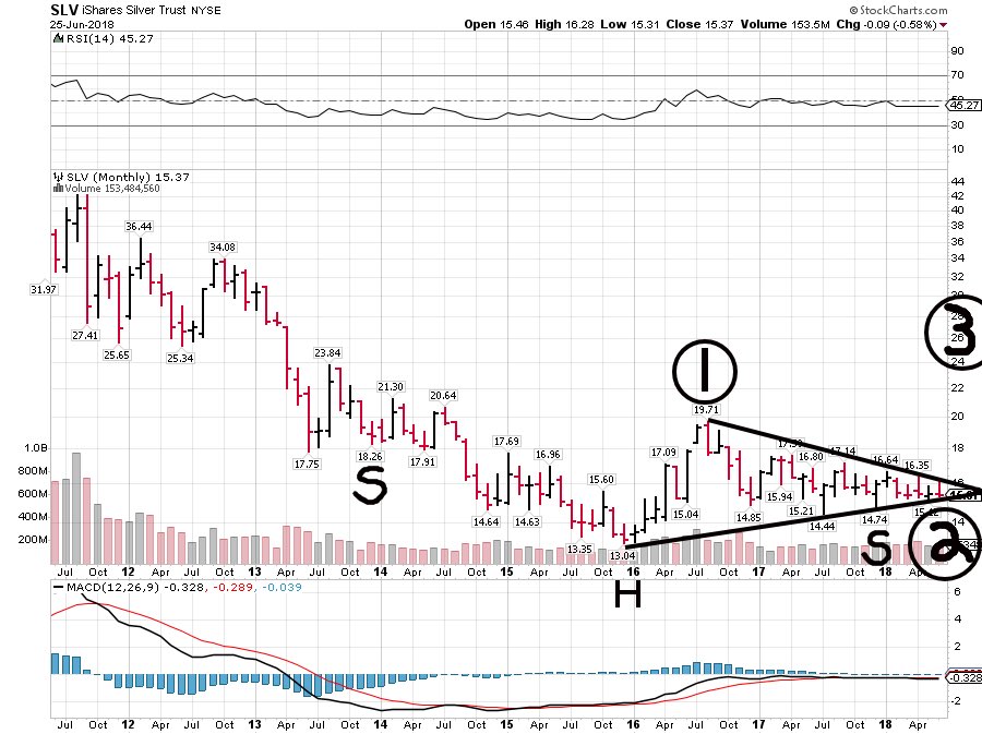 Silver Chart 2011