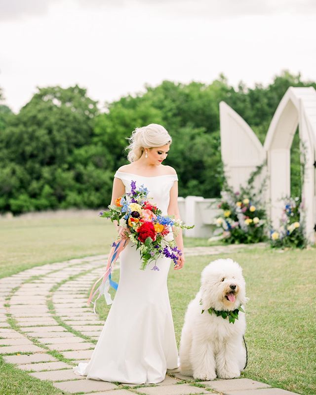 KirkTheFloof's tweet photo. I know I’m not supposed to wear white on your wedding day, but I just couldn’t help myself 😂
..
..
#bridesofnorthtx #weddinginspo #flowerdoodle #wedding #dogsoftexas https://t.co/QOOOniHr9a https://t.co/H9EiFb7q6G