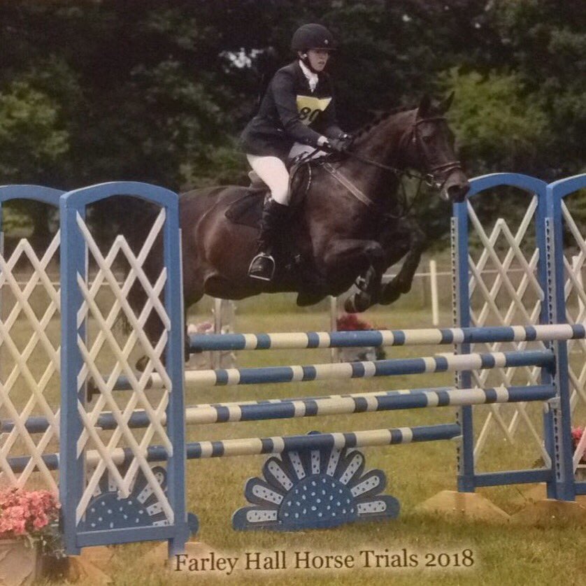 avanrandwyck's tweet photo. The super pony strikes again, first double clear and top 10 placing at Intermediate @FarleyHallHT #notaprimadonna https://t.co/lm7kBiLPRb