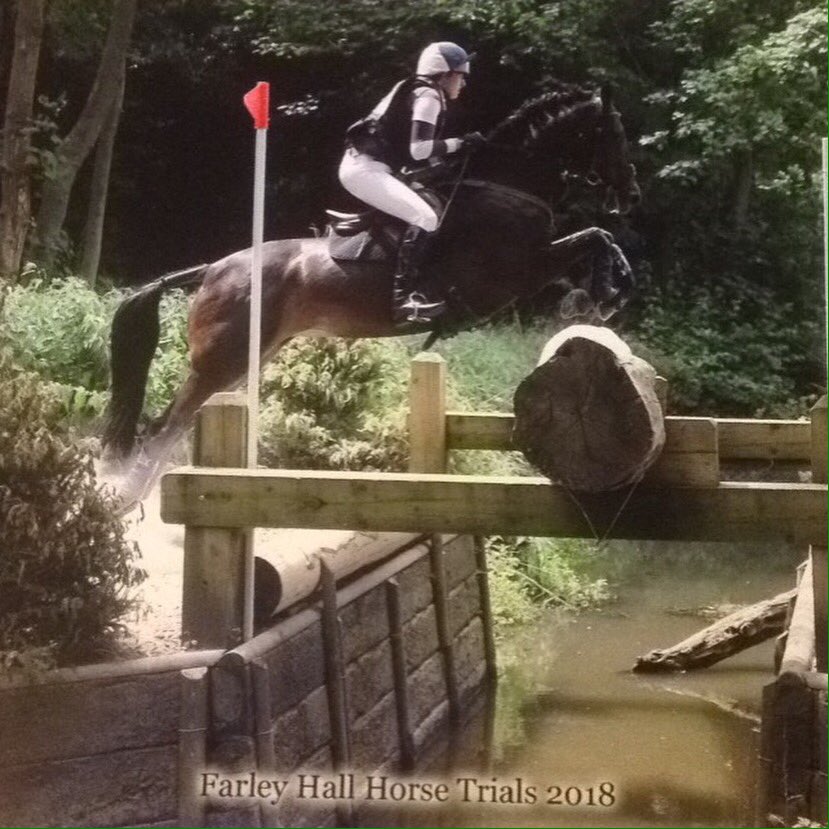 avanrandwyck's tweet photo. The super pony strikes again, first double clear and top 10 placing at Intermediate @FarleyHallHT #notaprimadonna https://t.co/lm7kBiLPRb