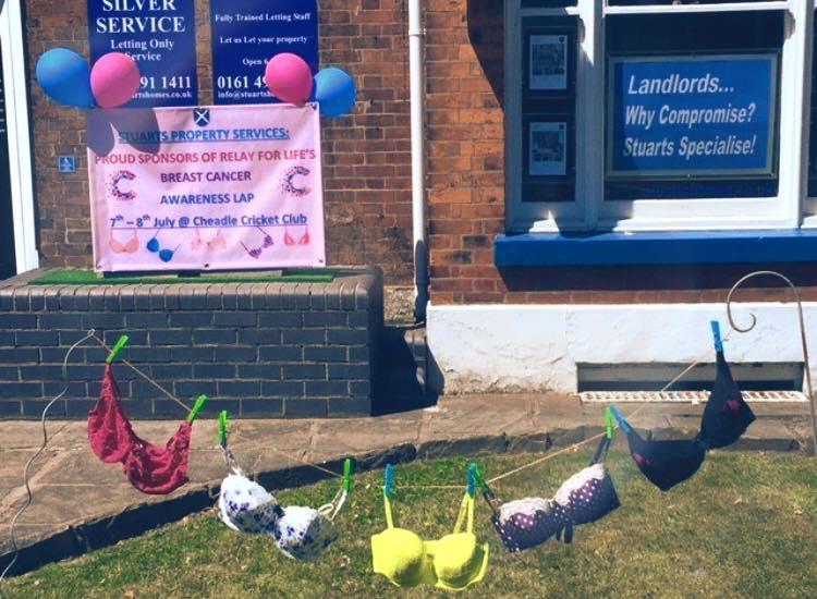 StockportRelay's tweet photo. All shops in #Cheadle are displaying bras to advertise Cancer Research UK Relay For Life #Stockport on 7th July at Kingsway school raise awareness for breast cancer. https://t.co/vRNh3y2zEq