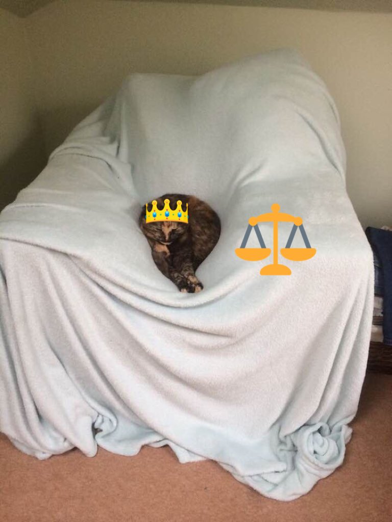 TheMiniMog's tweet photo. You may approach. #throne #princess #minimog #mydomain #passingjudgement #allrise #bench #judge https://t.co/zN7vg6v3x0