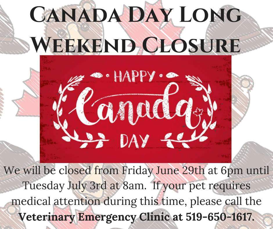 maple grove emergency vet