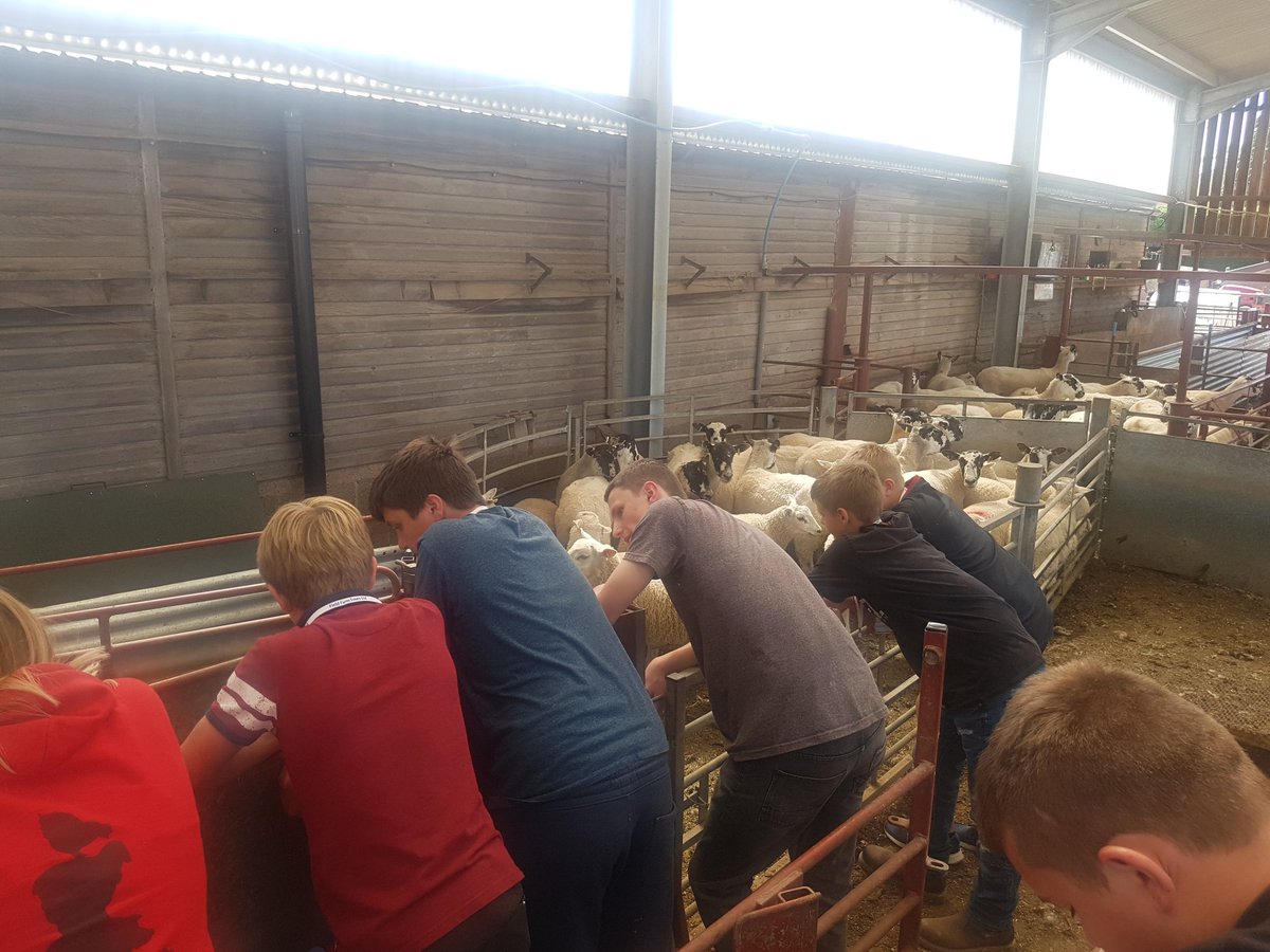 amaethYHR's tweet photo. Diolch i @Sam1bar am daith gwych o amgylch ei fferm. Disgyblion ac athrawon wedi mwynhau mas draw. Thank you Sam and Zoe for a very interesting tour, pupils and staff thoroughly enjoyed, we will be back @YsgolHR https://t.co/LyNiPgeTMl