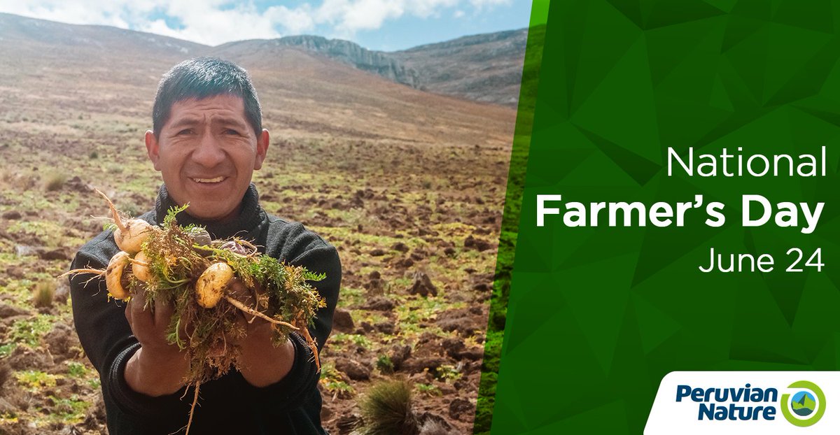 PeruvianNature's tweet photo. We would like to thank all the farmers of Peru for their ongoing contribution to the agricultural wealth of our nation.
Happy Farmers' Day (June 24)! 🍃 https://t.co/QJ7OEc3TCQ
#PeruvianNature #FarmersDay #Nature #NationalFarmersDay #DiaDelCampesino #Superfoods #Supealimentos https://t.co/W3oYWKCDWn