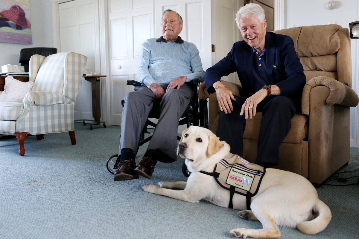 A great joy to welcome home the newest member of our family, 'Sully,' a beautiful -- and beautifully trained -- lab from @AmericasVetDogs. Could not be more grateful, especially for their commitment to our veterans.