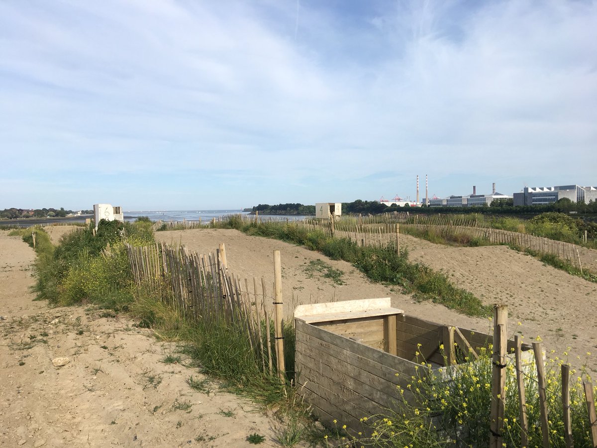 comebackclothin's tweet photo. So far Dublin has the necessities: a motocross track and a skate park https://t.co/bTmfwdIoWo