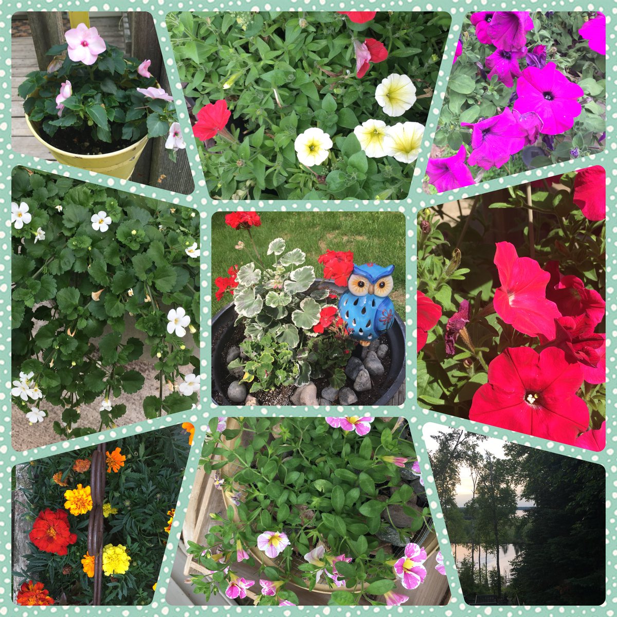 Flowers are good for the soul!