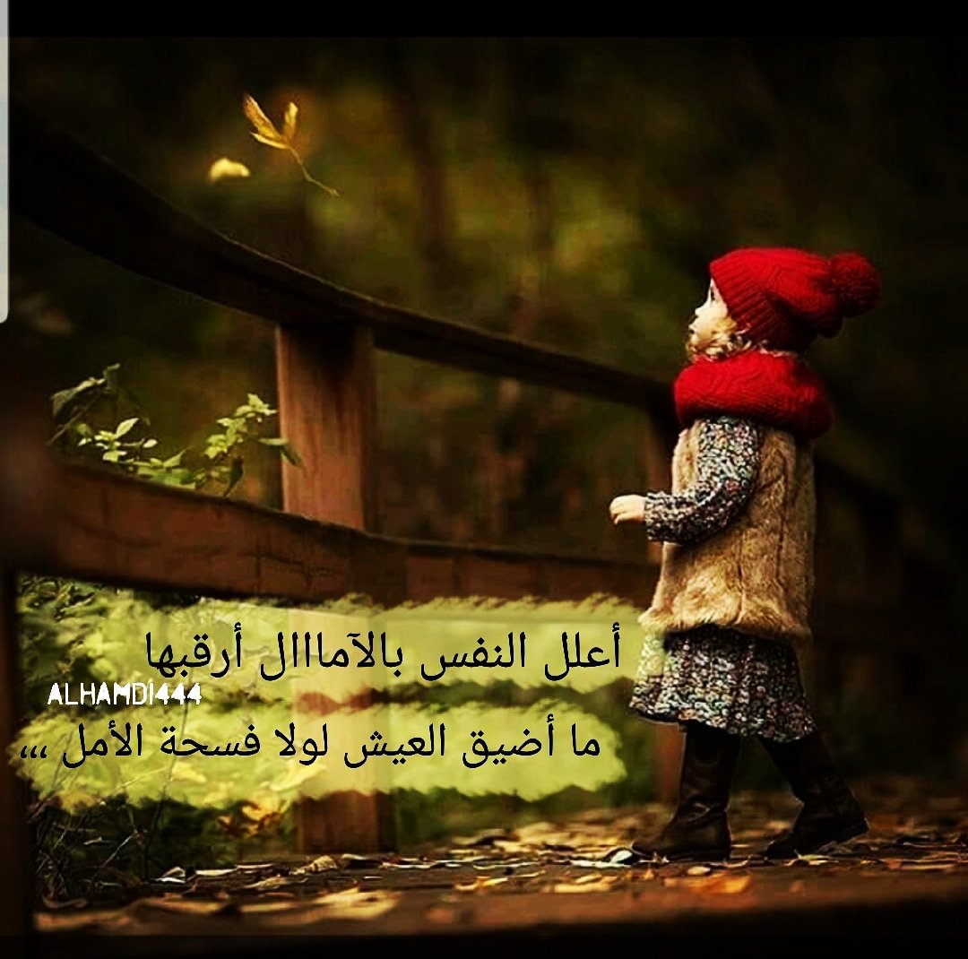 أجمل بيت شعر في الأمل للطغرائي عالم الأدب