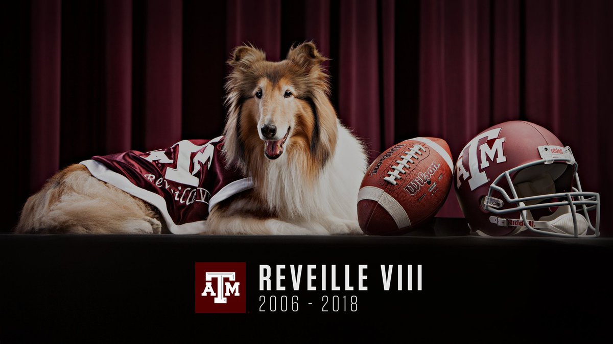Reveille VIII laying next to a football and a Texas A&M helmet with the words "Reveille VIII, 2006-2018" beneath her