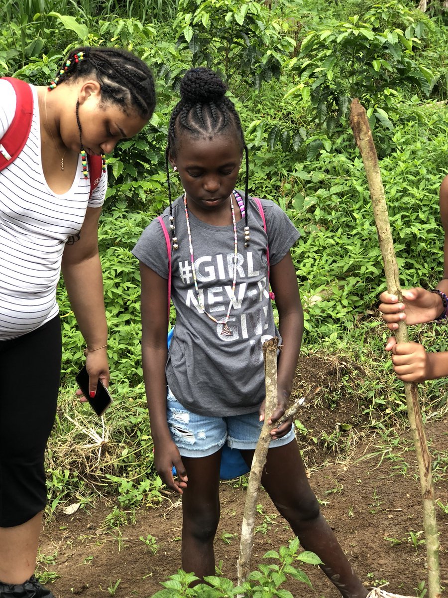 ITAVschools's tweet photo. Imani, Mariama, Caleb, Makayla and Jamilah learning about organic farming on the mountainside in #CostaRica. #WSP2018 #VLAstyle @ChiGrowingPower @SweetWaterFDN @AssataDaughters https://t.co/nR9e7C9Fu3