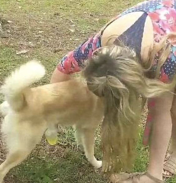 Whitney Wisconsin Getting Fucked By A Dog - All Out Show On Twitter Amy Lew Aka Whitney WisconsinSexiezPix Web Porn