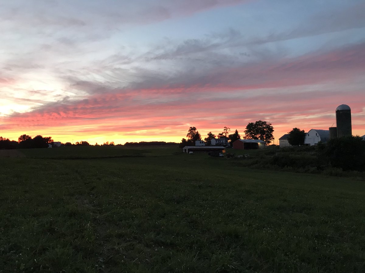 MDfallingbranch's tweet photo. Summer sunsets on the farm 👌🏼🌅 https://t.co/hU1elQffHj