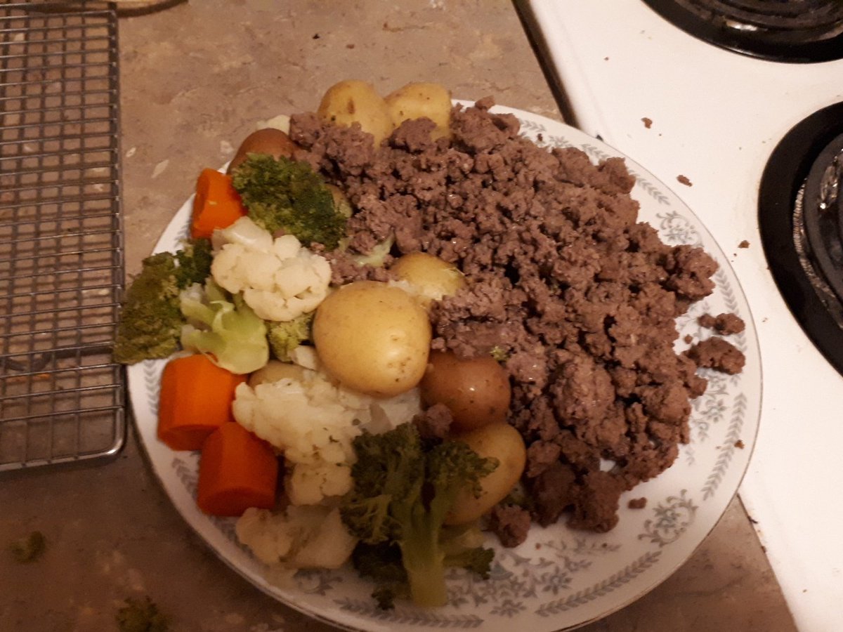 HuskerFox's tweet photo. This is @Bioxz 's plate.
My plate is obviously a lot smaller with more green vegetables. However since it won't kill Kitty I decided to give him a decent helping.
Seems like everything came out good
#furry
#FursThatCook
#Cooking https://t.co/C9v1xZf2Dg