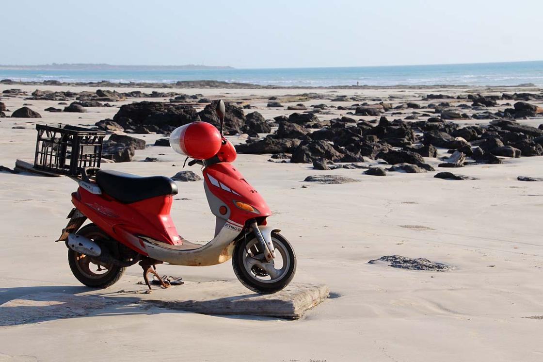 NewAgeCaravans's tweet photo. You never know what you’ll find on the beach! Love to see a photo of your favourite beach drive.
https://t.co/riddkMpRlx https://t.co/bGKpmWQhAi