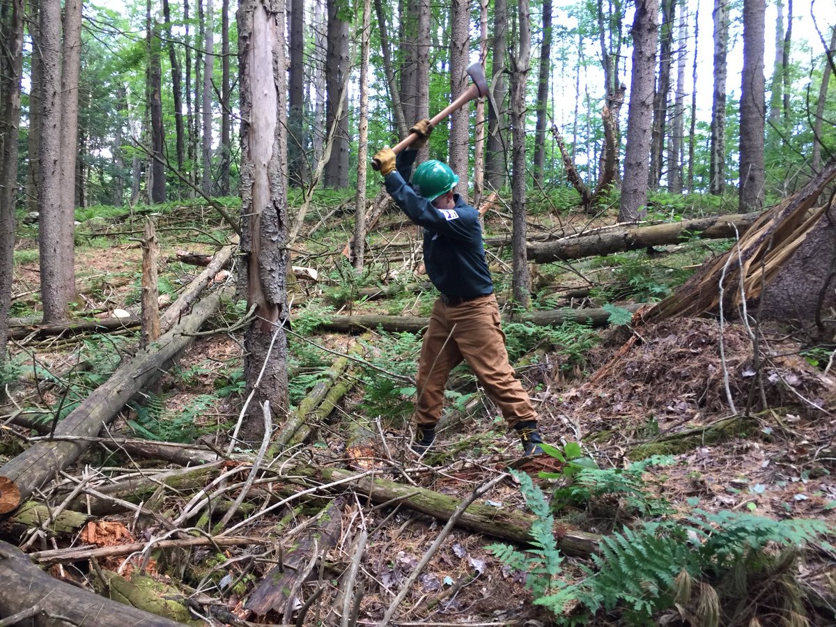 thevycc's tweet photo. Are we trailblazers? Yup!
Spike 6 is in #Waterbury for 3 weeks building a trail system for the #BestWestern hotel. Clearing, grading, puncheon-ing, and more! #VYCC crews can do it all! ⚒🌲💪
#clydetheglide by and #AxeTheCrew about sports references and their work! 😁 https://t.co/5f92EOPChQ