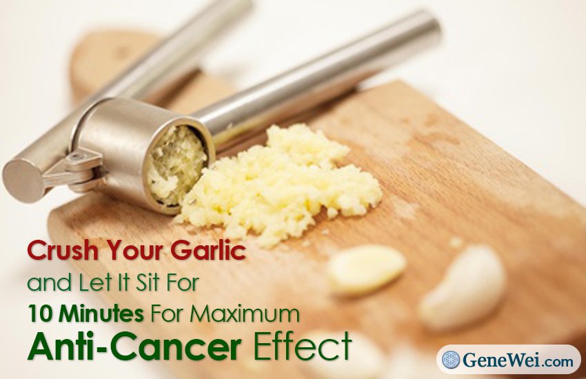 Anti Cancer Effects of Garlic
youtube.com/watch?v=wwopPS…
#healthyeating #healthyliving #healthydiet #glutenfree #lowcarb #foodie #vegan #California #LosAngeles #usafood #SanFrancisco  #NewCalifornia #diabetesfree  #NonGMO #lowcarb #Garlic #anticancer #food