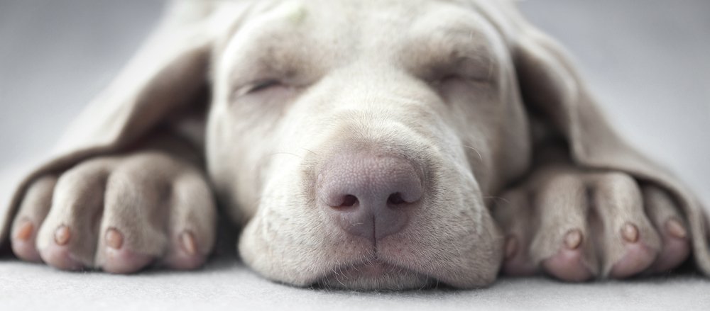 Goodnight dreamers!
#DreamItShareIt