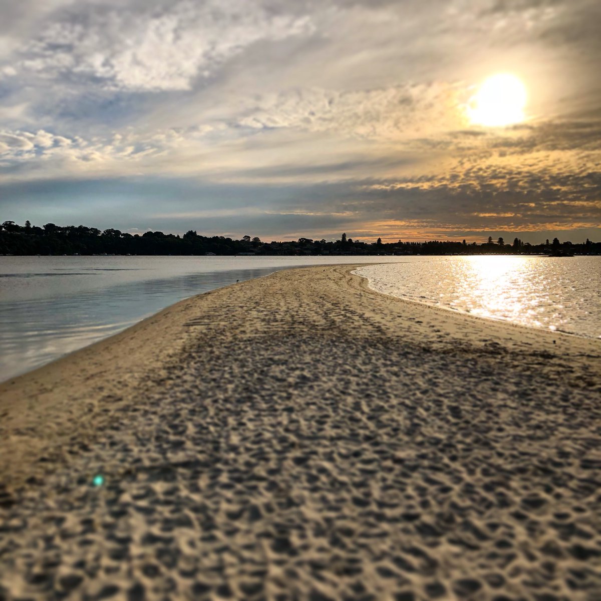 JasonWhitewood's tweet photo. Beautiful #wintersun in the afternoon here at #pointwalter #ontheswan πΌπππΌ https://t.co/9MCSBT4Bml
