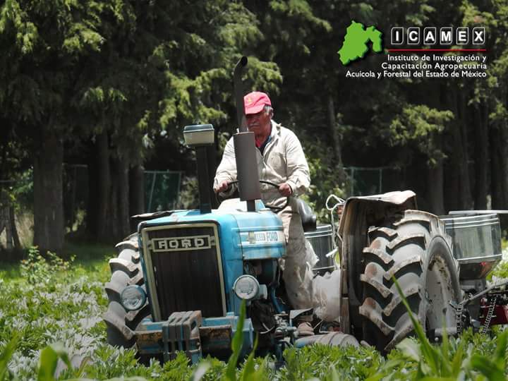 ICAMEXoficial's tweet photo. Los productores agropecuarios del Estado de México son personas fuertes, forjadas por surcos y tierra, que proveen los recursos necesarios para alimentar a nuestras familias. Y es por eso que el ICAMEX agradece su noble labor.
#IdeasFirmesInvestigadoresFuertes
#YoSoyICAMEX https://t.co/yuVJOaI7H8