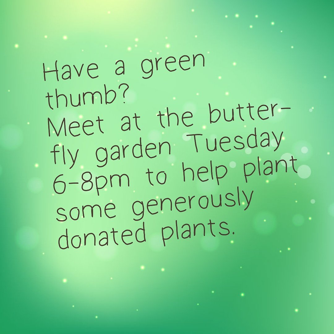 Sandhillcouncil's tweet photo. Bring your spades and get planting! https://t.co/YcCNxf7NSL