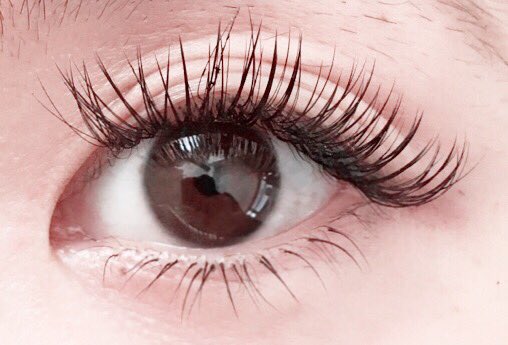 Eye Lash Poloka Li51gmqbld2ddkh Twitter