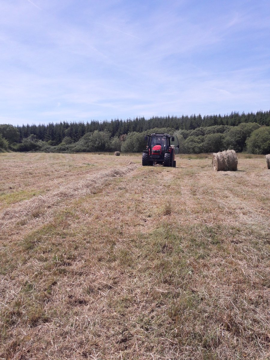 colmstenson's tweet photo. The best place to be. Hay making in this glorious weather with the biggest threat to farming in @LovelyLeitrimIE in the background.
And its not the weather!!!! 😎🚜 @SaveLeitrim @AgrilandIreland @agriculture_ie @LeitrimToday @aboutleitrim https://t.co/PrNsIeaBgS