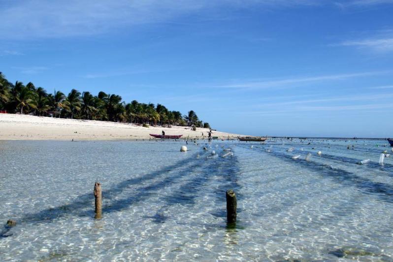 jalanwisata_id's tweet photo. Keindahan Pantai Rii Taa di Kabupaten Nagekeo https://t.co/bhZgKYQbiL https://t.co/2xhFWcPFC2