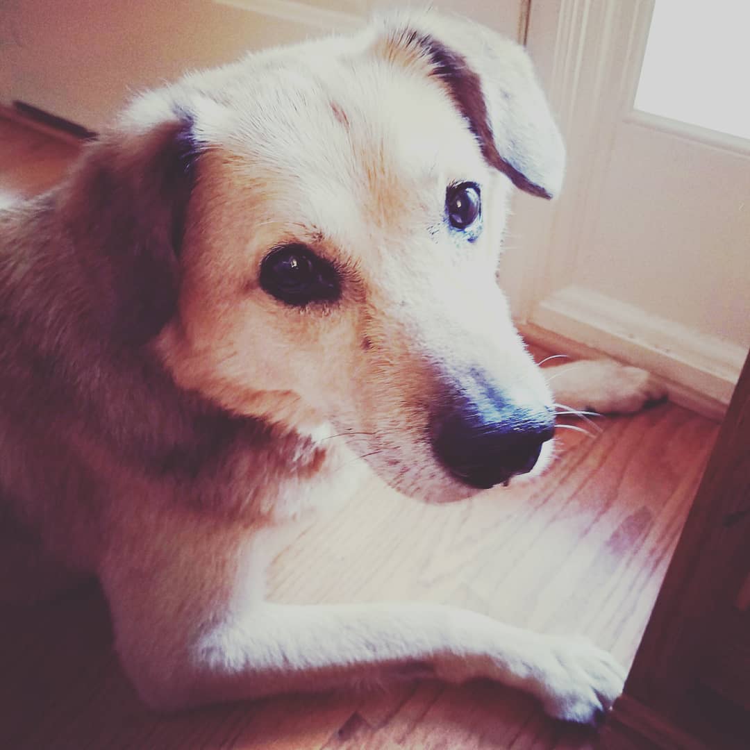 SummonStars tweet media