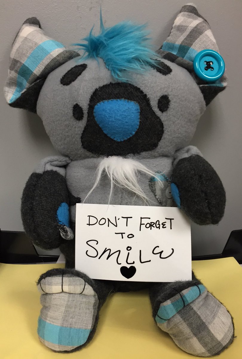 MADSHYARTS's tweet photo. A message from the Mini Mav #buttonpup #madshyarts #miniMav 💙💙💙✨ https://t.co/wJbDmxYDs0