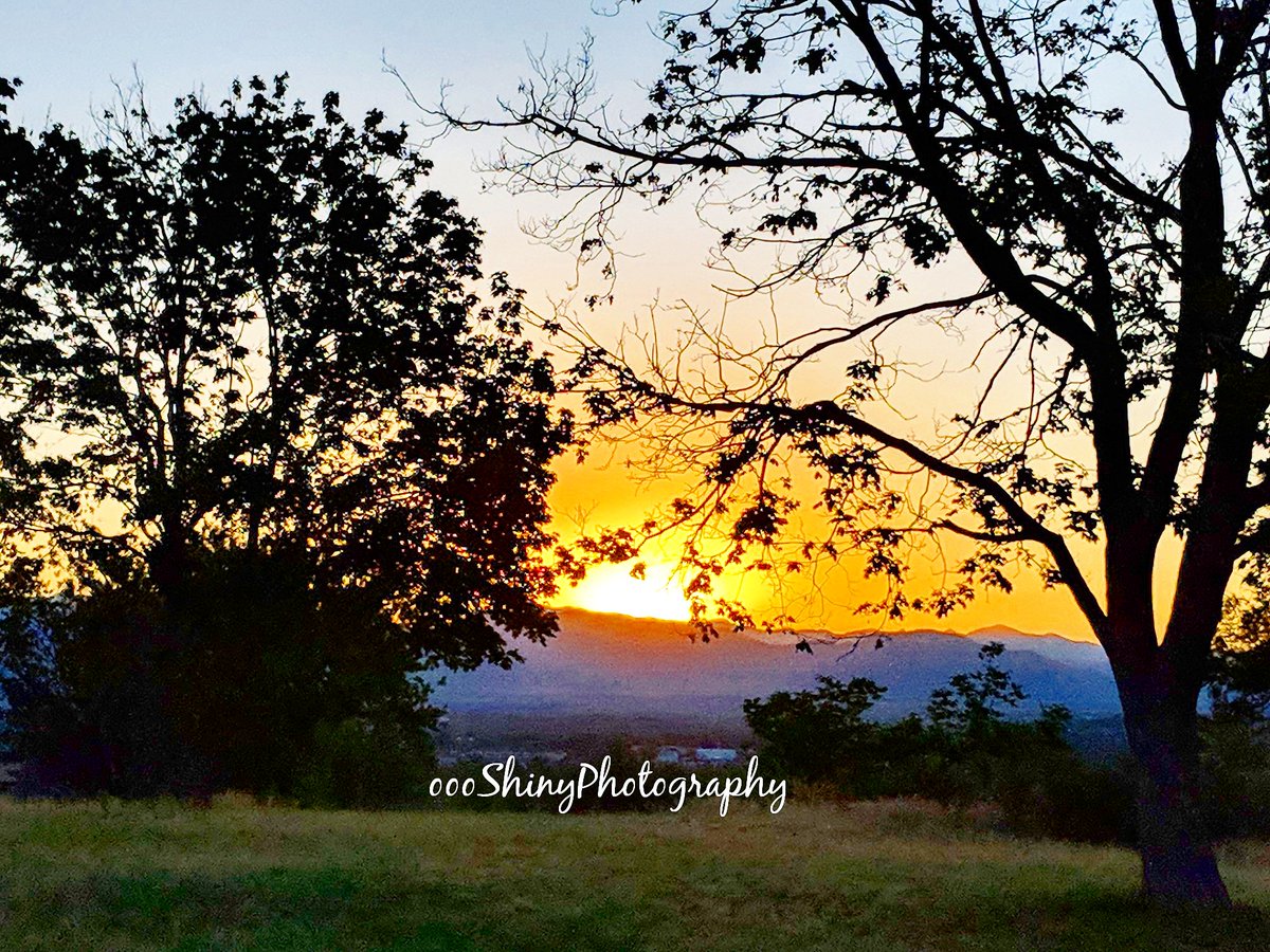 oooshinyphotos's tweet photo. Tonight's #sunset from #InspirationPointPark in #Denver, #Colorado.
#amazing #beautiful #mountains #trees #oooShiny #oooShinyPhotography #photography #photographer #nature #naturephotography https://t.co/MFA9mLphT2