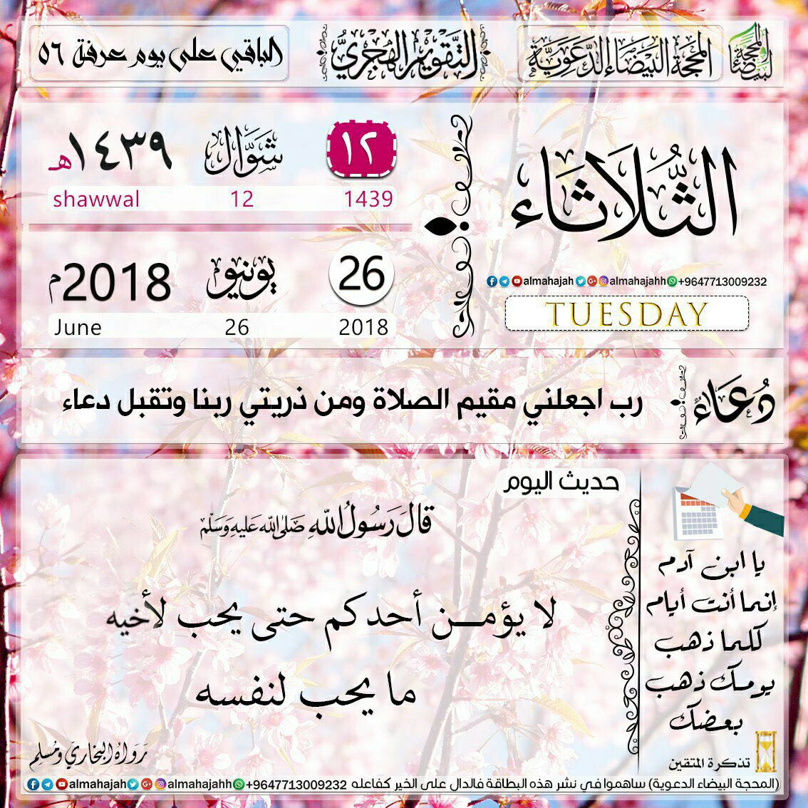 اللهم أفتح لنا مع أنفاس هذا الصباح 
كل باب خير 
و بشرنا بما ننتظره منك 
و ارزقنا الرضا والطمأنينة ..
صباحكم دعوات مستجابه بإذن الله🌸