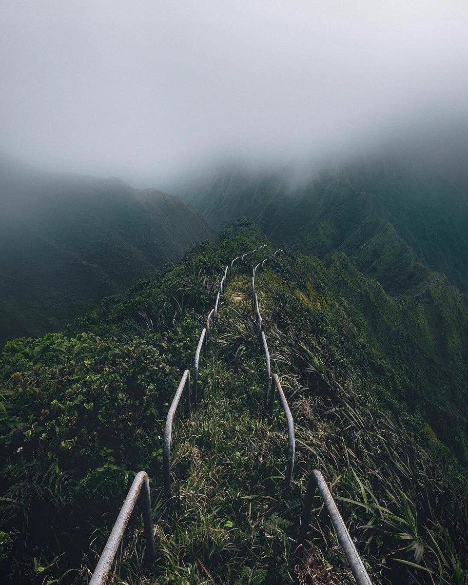 CameraTrickTips's tweet photo. Oahu, Hawaii ⛰ https://t.co/9Yj5IYXjxn