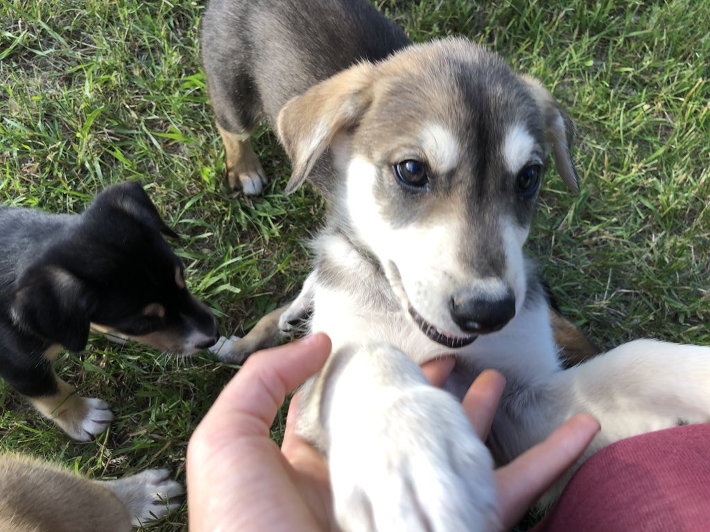 Everyone is happier with new frens