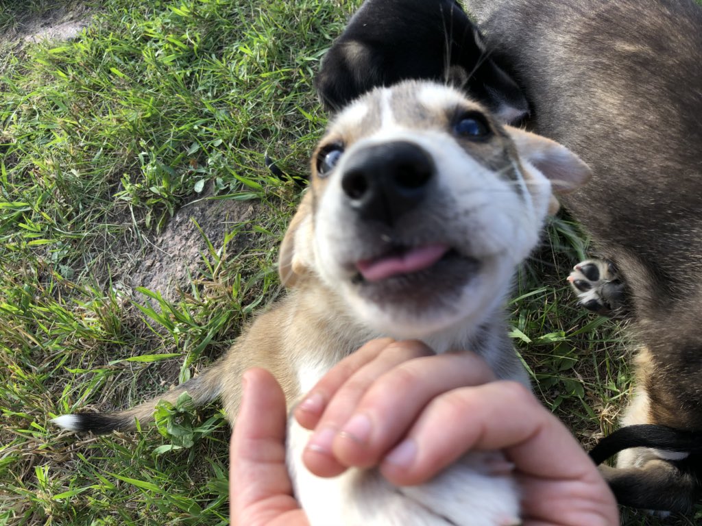 Everyone is happier with new frens
