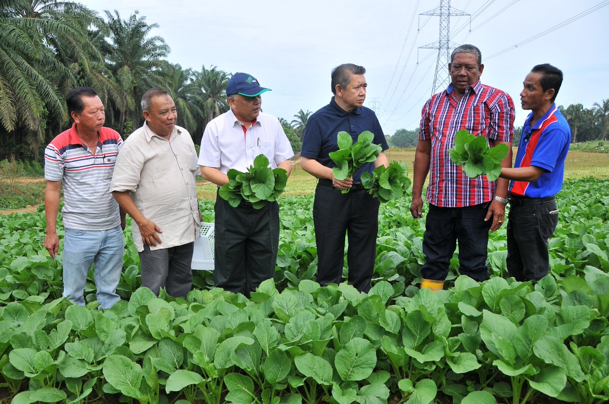 myDOA_HQ's tweet photo. Lawatan Kerja YBM @moaMalaysia ke Projek Usahawantani Bukit Damar, Sepang, Selangor.
@HajiSalahuddin @jharizan @bad5277 @msallehhuddin @PertanianSepang @doaselangor
#ourfoodourfuture #myDOA_HQ https://t.co/M4YcqfcPKi